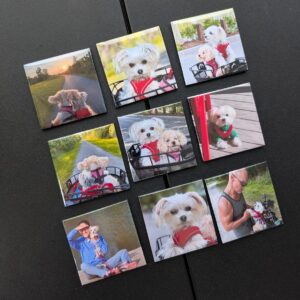 9 pack 2"x2" magnets
